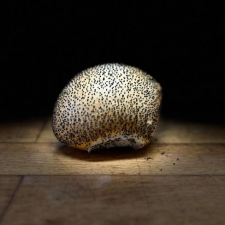 Morgenbrød