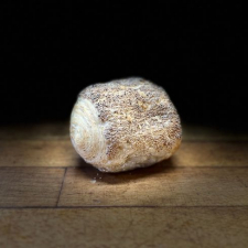 Morgenbrød